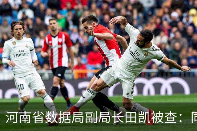 河南省数据局副局长田凯被查：同名误传与AI写作误区