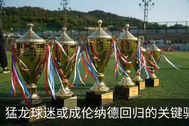 猛龙球迷或成伦纳德回归的关键驱动力