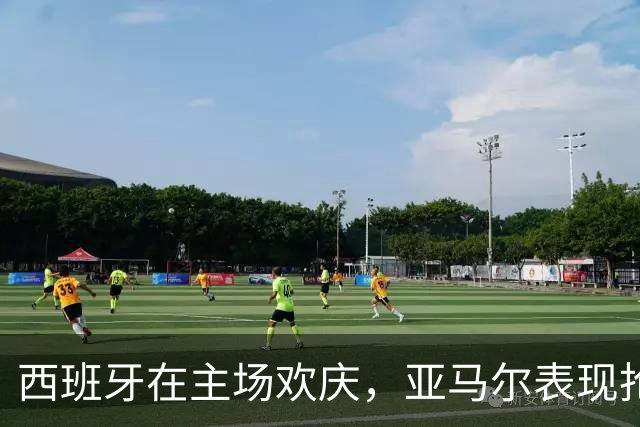 西班牙在主场欢庆，亚马尔表现抢眼助球队延续不败纪录